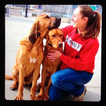 Sit Means Sit Pittsburgh Pennsylvania - Pet Training Near Me - Pittsburgh, Pennsylvania Sit Means Sit Pittsburgh Pennsylvania - Pet Training Near Me - Pittsburgh, Pennsylvania