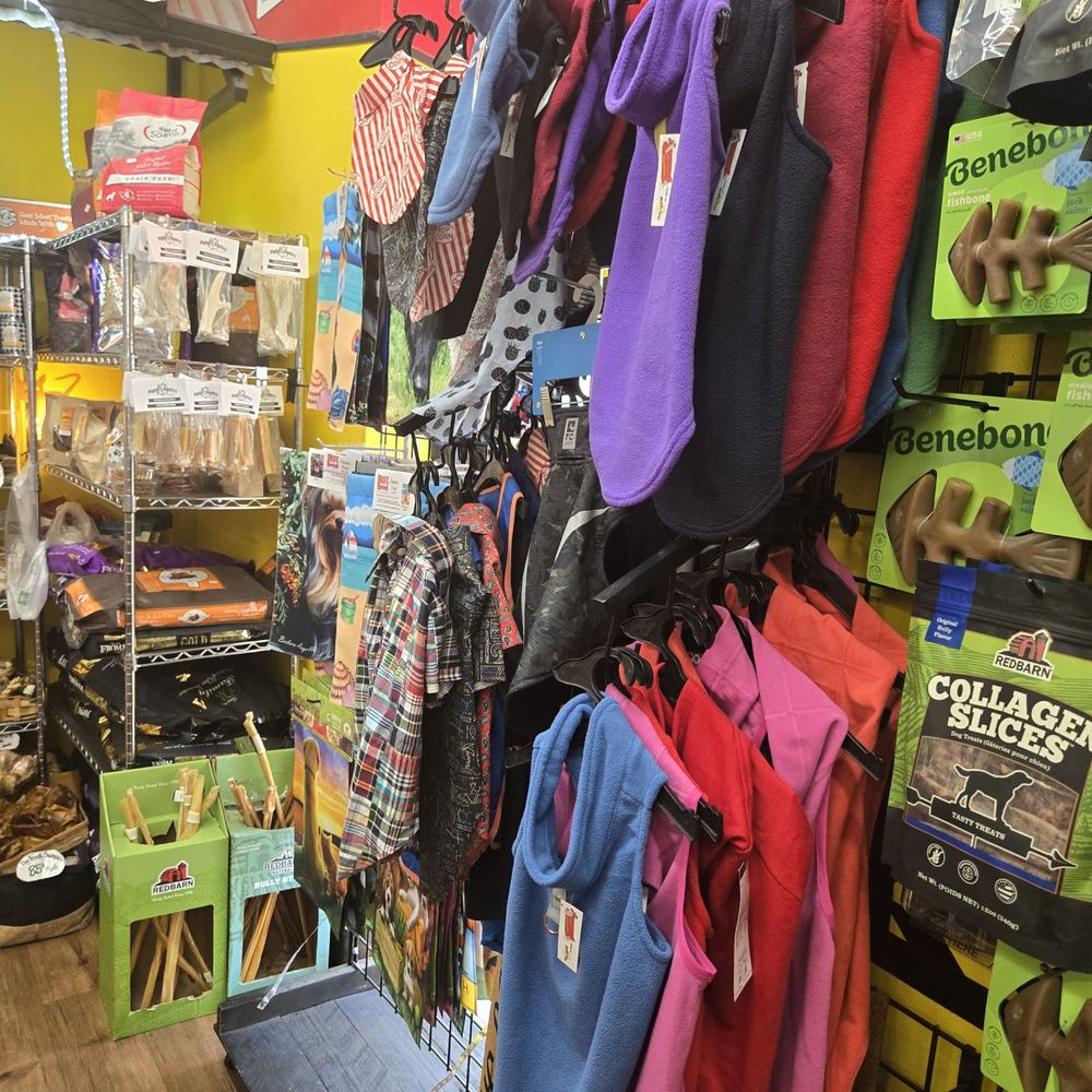 Dog Clothes Big Dogs Dog Clothes Shops Why Every Pet Owner Should