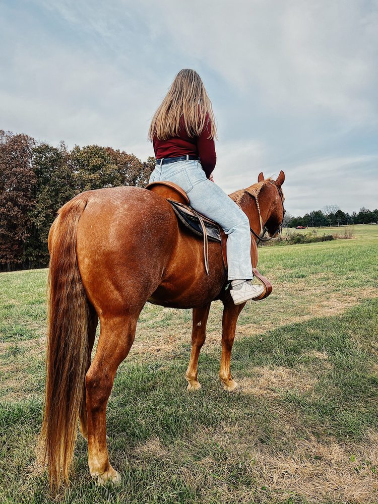 Painted Ridge Farms - equestrian in Hillsboro, MO