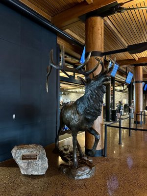 Jackson Hole Airport by null Jackson Hole Airport by null