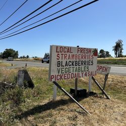 Rick's Berry Farm
