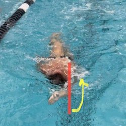 Southern California Aquatics or SCAQ - Video critiques have been so helpful!