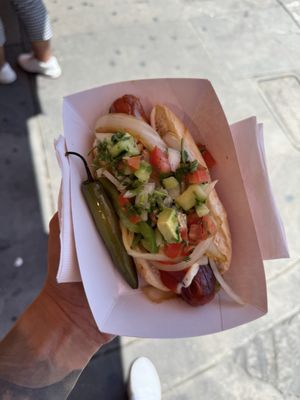 The Alley Dog by null