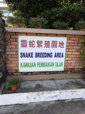 Penang Snake Temple by null