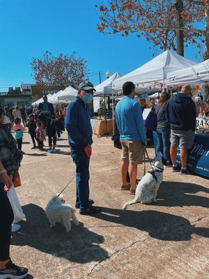 Rice Village by null