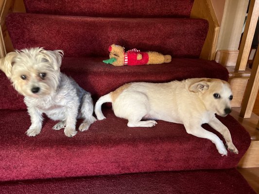 Isaac Heating and Air Conditioning