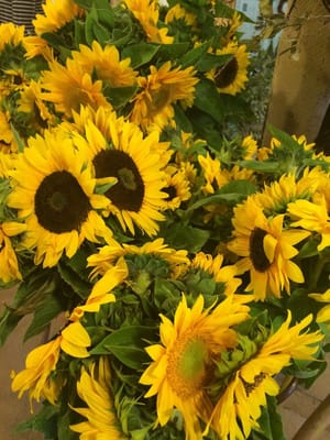 Oak Hill Farm by null