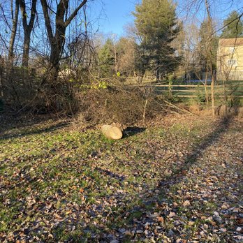 William's Tree Service - incomplete work and Mike Williams, Williams Tree Service & Anthony's Tree Service didn't complete the job!   Took the money and Ran - Tree Services Near Me - Bensalem, Pennsylvania