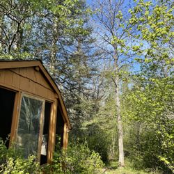 Wildhurst Campgrounds - Our little cabin!