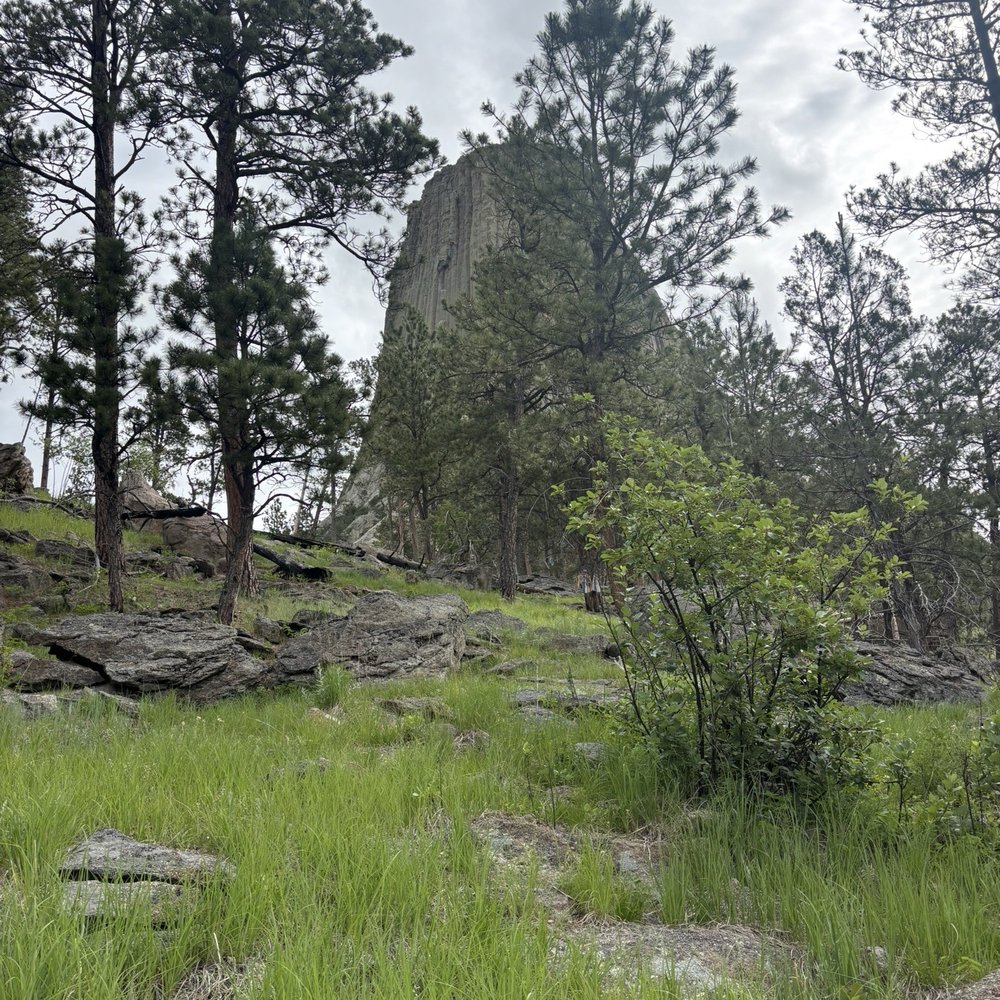 Devil’s Tower National Monument - Parks Near Me - Devils Tower, Wyoming Devil’s Tower National Monument - Parks Near Me - Devils Tower, Wyoming
