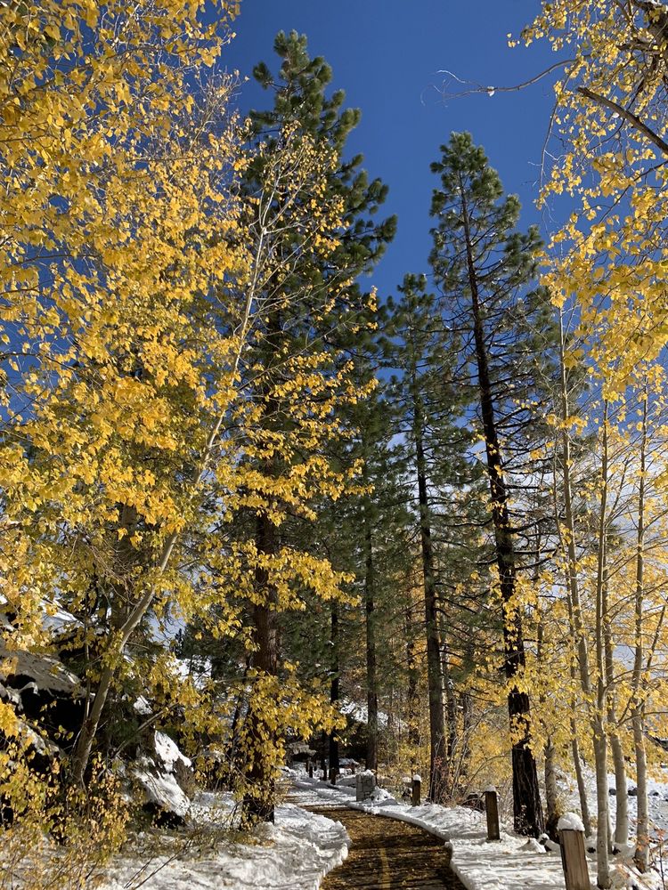 Tahoe City Lakeside Trail Logo