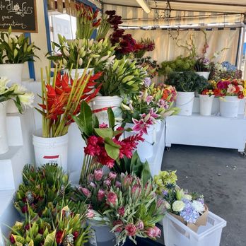 Flowers and Friends - More! - Florists Near Me - San Clemente, California Flowers and Friends - More! - Florists Near Me - San Clemente, California