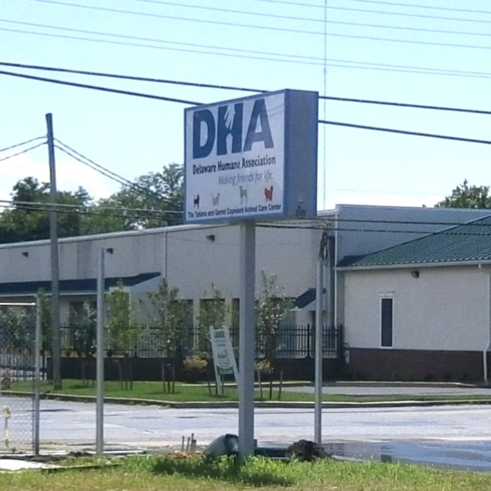 Humane Animal Partners - Animal Shelters Near Me - Wilmington, Delaware Humane Animal Partners - Animal Shelters Near Me - Wilmington, Delaware