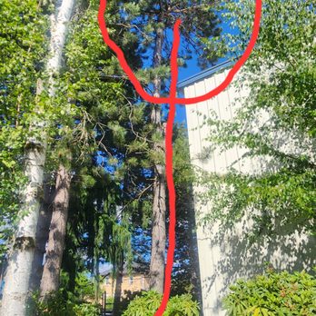 Big Foot Tree Care - Tree Services Near Me Big Foot Tree Care - Tree Services Near Me