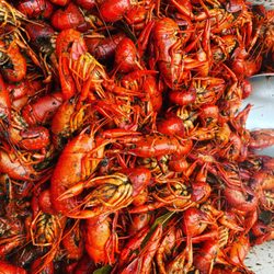 Shells & Tails Crawfish Co - These were from mid Feb!