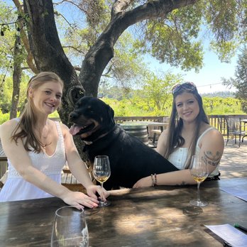 Story Winery - Us with Simba - Wineries Near Me - Plymouth, California Story Winery - Us with Simba - Wineries Near Me - Plymouth, California