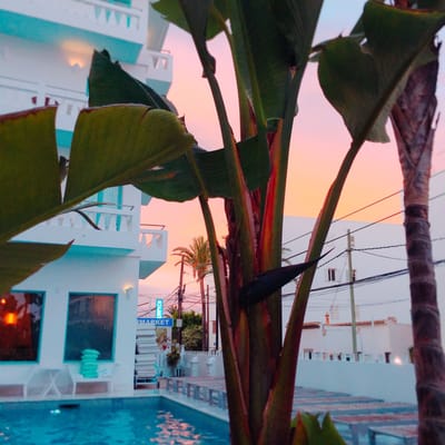 MiM Ibiza member of Meliá Collection by null