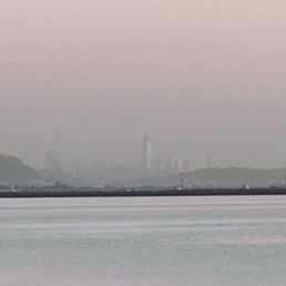 Seems of the city, from their patio. Seems of the city, from their patio.