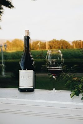 Monticello Vineyards by null