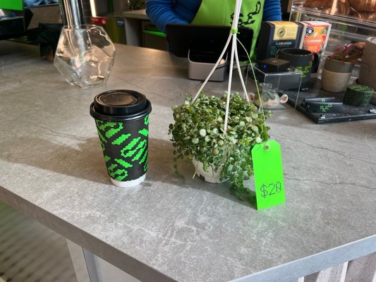 Greenhouse Café at Seed Brklyn by null