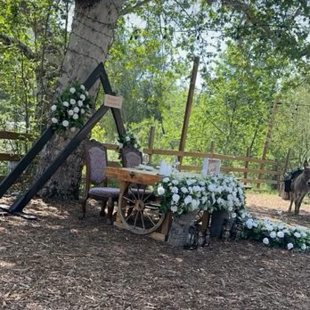 Reptacular Animals - Party & Event Planning Near Me - Sun Valley, California Reptacular Animals - Party & Event Planning Near Me - Sun Valley, California