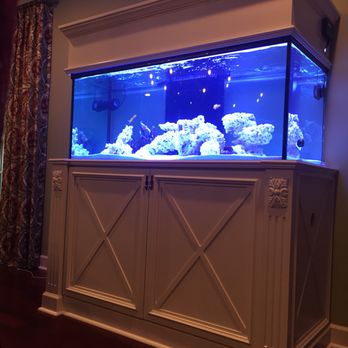 Coral Cove - Aquarium Services Near Me Coral Cove - Aquarium Services Near Me