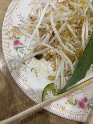 Phở Băng Restaurant by null