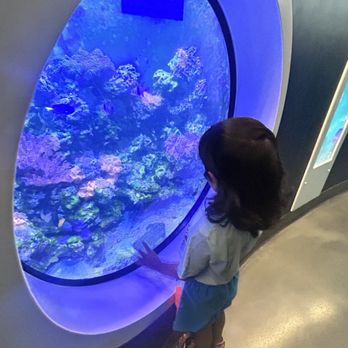 Orlando Science Center - Museums Near Me - Orlando, Florida Orlando Science Center - Museums Near Me - Orlando, Florida