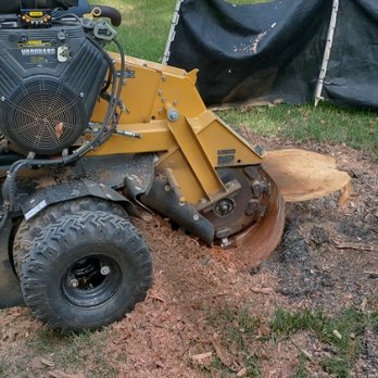 Stumpty Dumpty Stump Removal - Tree Services Near Me - Germantown, Tennessee Stumpty Dumpty Stump Removal - Tree Services Near Me - Germantown, Tennessee