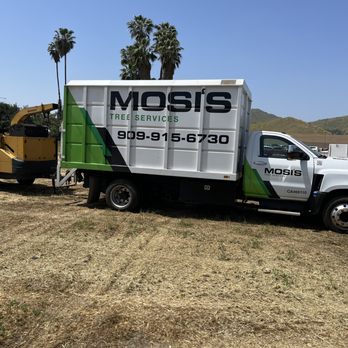Mosis Tree Service - Tree Services Near Me - Rubidoux, California Mosis Tree Service - Tree Services Near Me - Rubidoux, California