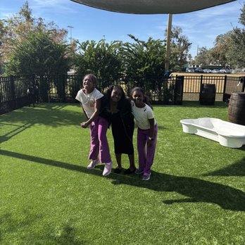 Barkhaven - Dog Parks Near Me - Orlando, Florida