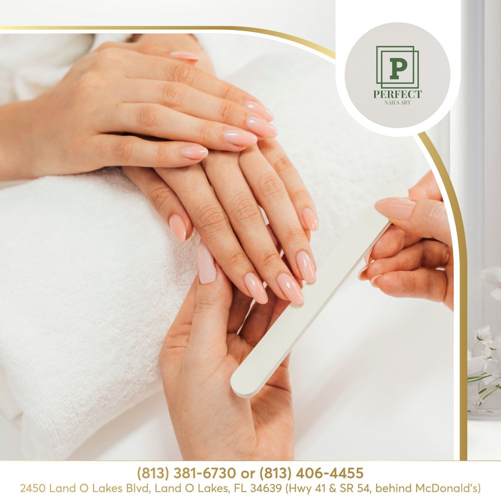 PERFECT NAIL ART Updated September 2024 125 Photos 2452 Land O