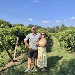 Vineyard