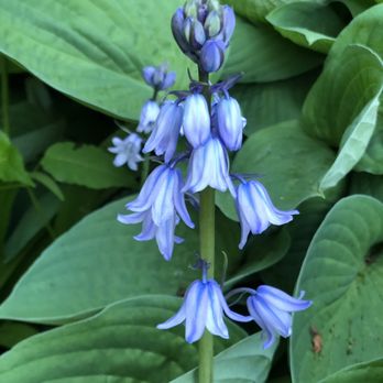 Edwards Gardens - Parks Near Me - North York, Ontario