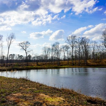 4 County Rv Park & Campground - RV Parks Near Me - Danville, Georgia 4 County Rv Park & Campground - RV Parks Near Me - Danville, Georgia
