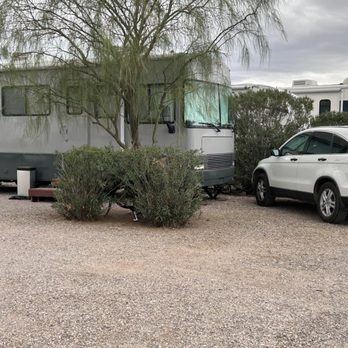 Crazy Horse R V Campgrounds - Nice site with a tree and a bush. Plenty of room to park my car in front. - RV Parks Near Me - Tucson, Arizona Crazy Horse R V Campgrounds - Nice site with a tree and a bush. Plenty of room to park my car in front. - RV Parks Near Me - Tucson, Arizona