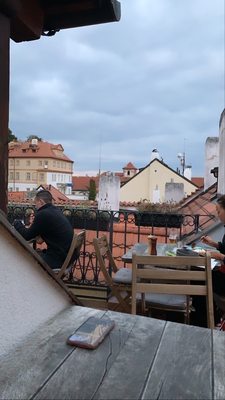 Vegan's Prague by null