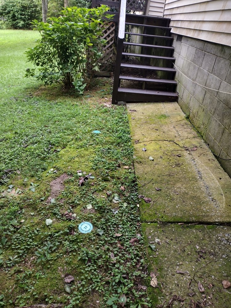 Slide of All above pest solutions