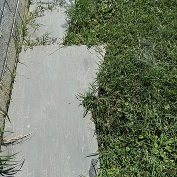 Curb Appeal Masters - Slate stones for walkway from a different project (I moved and replaced with actual stones). - Landscape Architects or Designers Near Me - Kearneysville, West Virginia
