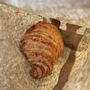 Photo of Flour Bakery & Cafe