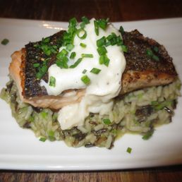 grilled salmon grilled salmon
