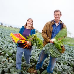 High Ground Organics - Farmers Steve and Jeanne