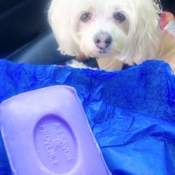 Au Savon De Provence - Lavender french soap for Fendi, she loves the scent