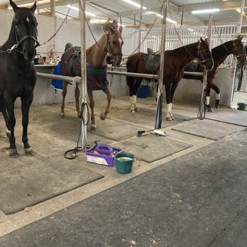 Liz Bolton Stables - The show barn - Horseback Riding Near Me - San Marcos, California Liz Bolton Stables - The show barn - Horseback Riding Near Me - San Marcos, California