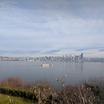 Conservation Tree Care - Tree Services Near Me - Seattle, Washington Conservation Tree Care - Tree Services Near Me - Seattle, Washington