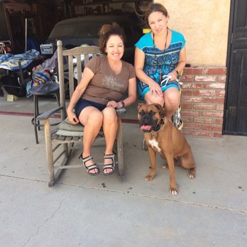 Smart Dog Training School - Pet Training Near Me - Palmdale, California