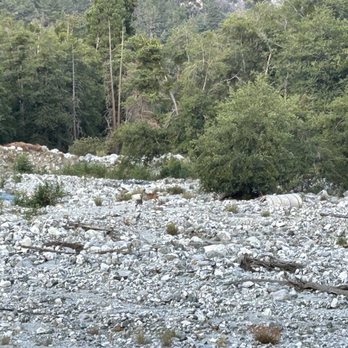 Forest Home - Summer Camps Near Me - Forest Falls, California Forest Home - Summer Camps Near Me - Forest Falls, California