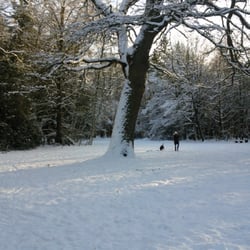 Eversten Holz