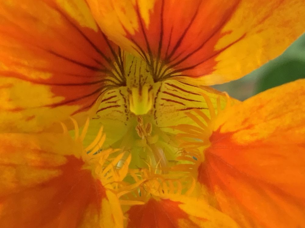 Body Wisdom LLC - grief counselor in Rapid City, SD