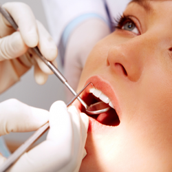 Richard D Fitzgerald, DDS - Untitled